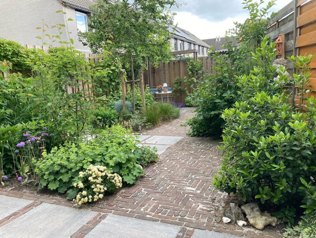 Kleine tuin in Dordrecht